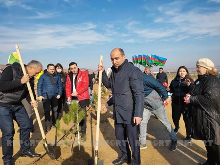 Xocasəndə 2000-dən çox müxtəlif cinsli ağac əkilib