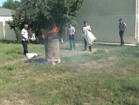 Salyanda 7 kiloqramdan çox narkotik vasitə yandırılaraq məhv edilib