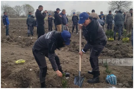 В Карабахе прошла акция по посадке деревьев