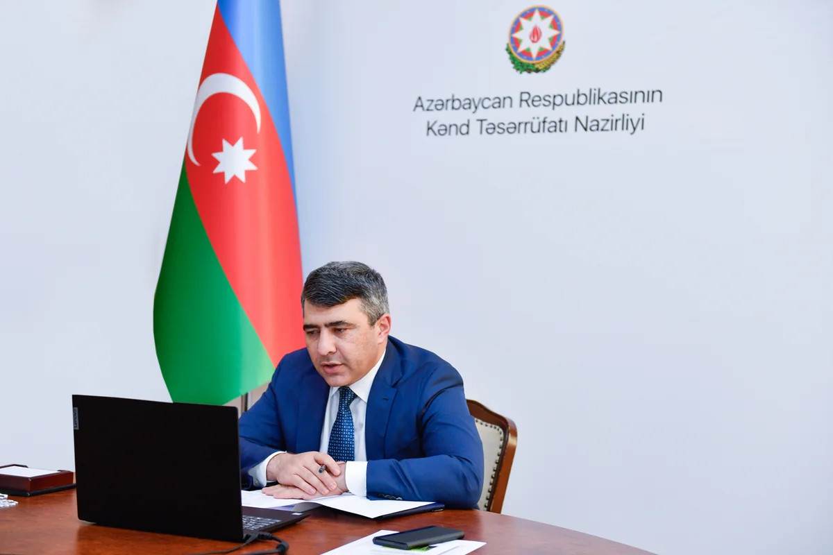 Azərbaycanda şəkər çuğundurunun məhsuldarlığı daha da artırılacaq