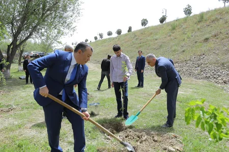 Naxçıvanda Ümumdünya Əməyin Mühafizəsi Gününə həsr olunan konfrans keçirilib - YENİLƏNİB