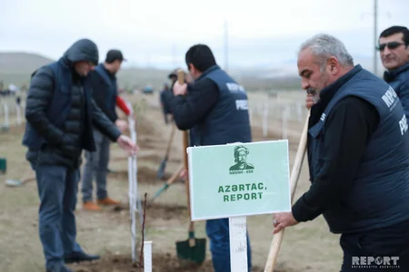 Report News Agency takes part in tree planting campaign - VIDEO