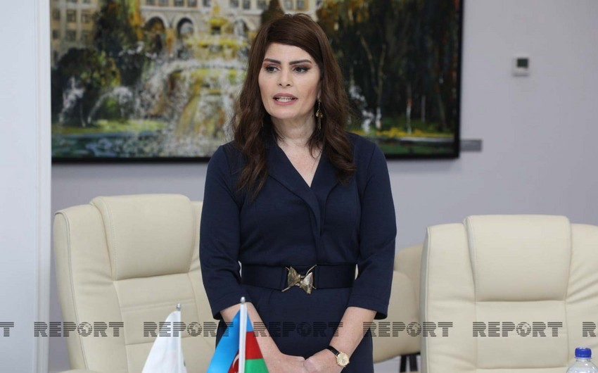 Azerbaijan to impose fines for language defects