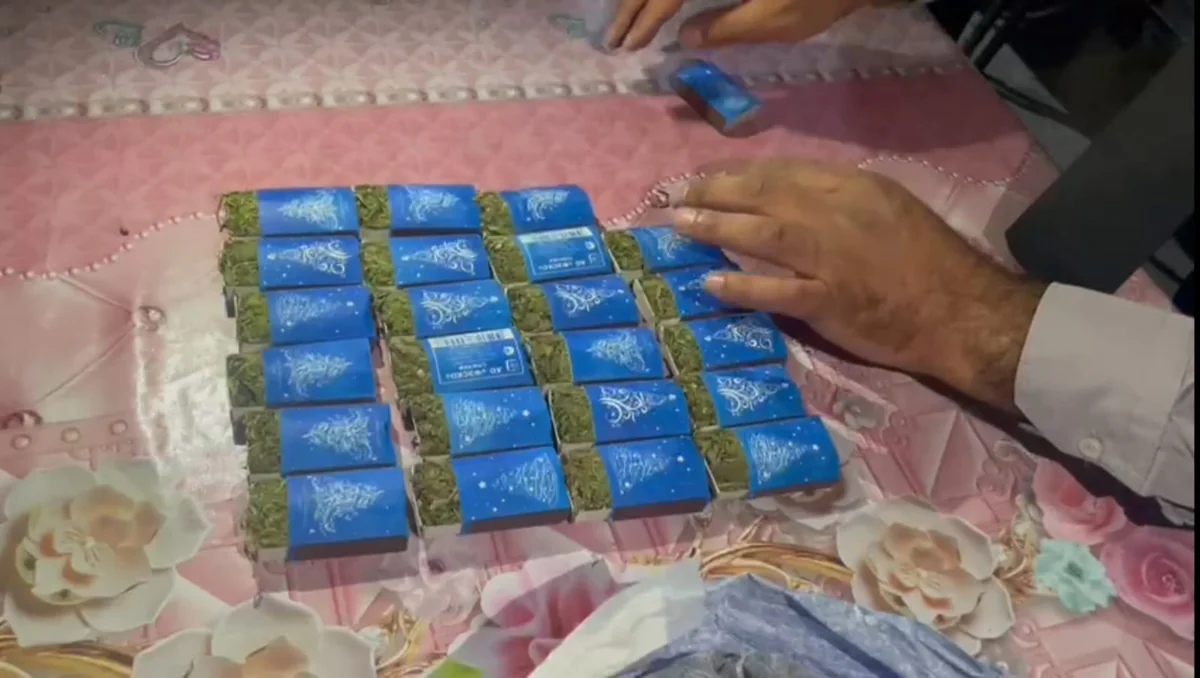 Kür çayı sahilində çətənə kolu yetişdirən şəxs saxlanılıb