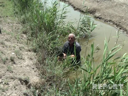 Salyanda eramızdan əvvələ aid tarixi abidələr aşkarlanıb