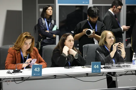 В рамках COP29 состоялся круглый стол высокого уровня по вопросам детей, молодежи и климатических действий