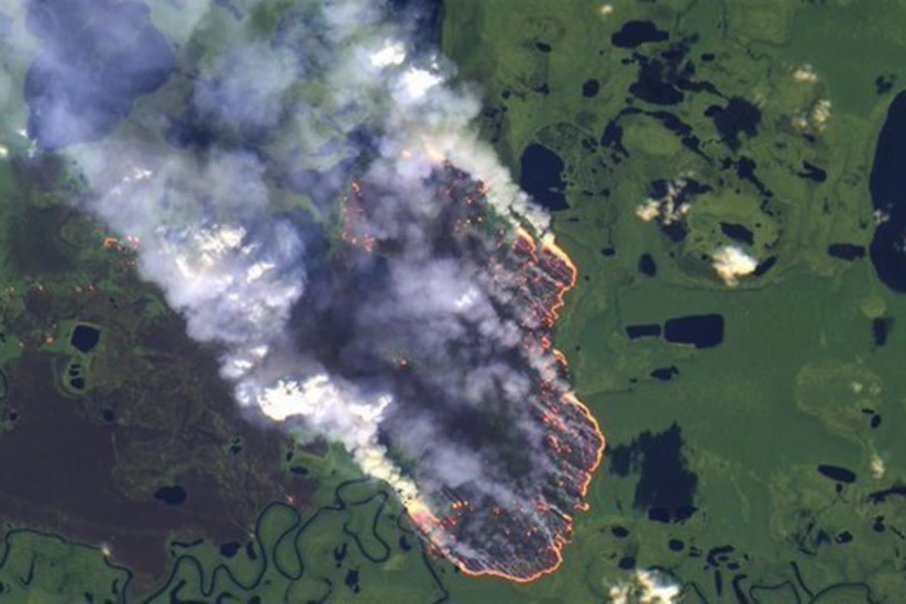 Бразилия готова принять международную помощь для Амазонии