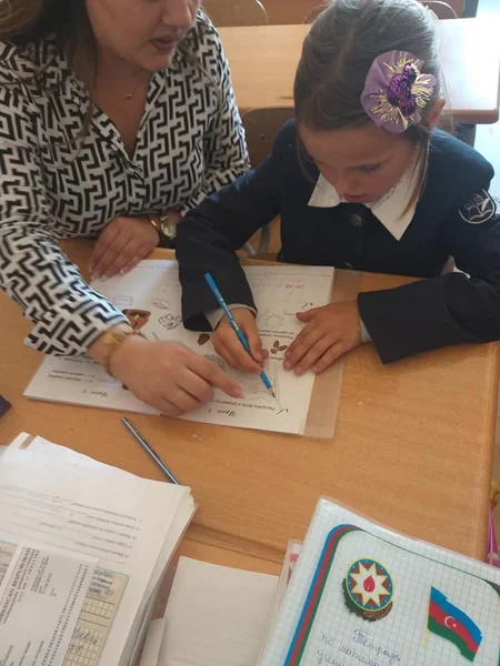 Bakıda atası ilə birlikdə zibil yığan 10 yaşlı qız fərdi təhsilə cəlb olunub