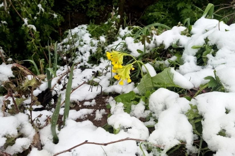 Azərbaycanda Kiçik çillə başlayıb