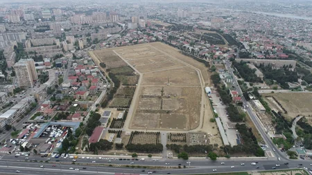 “Azərsu” Heydər Əliyevin 100 illik yubileyi münasibətilə ağacəkmə aksiyası keçirib