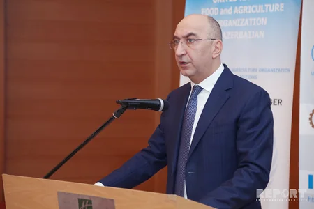 Azərbaycanda “CountrySTAT” platformasının rəsmi açılışı keçirilib