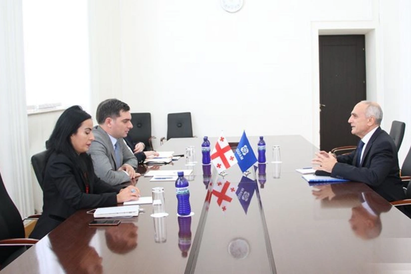 Gürcüstan XİN-də GUAM-ın baş katibi ilə görüş keçirilib