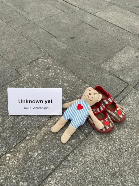 Çexiyadakı soydaşlarımız erməni vandalizminə etiraz ediblər