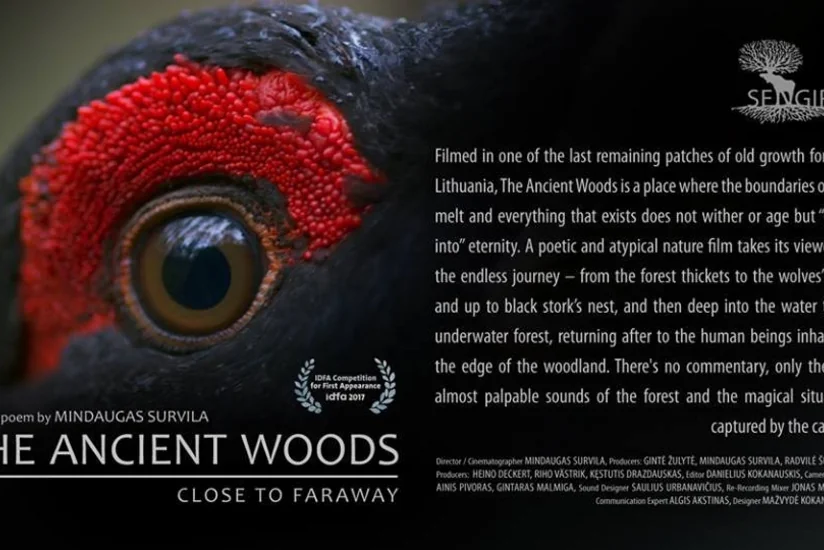 “CinemaPlus Azərbaycan” kinoteatrında litvalı kinorejissorla görüş olub