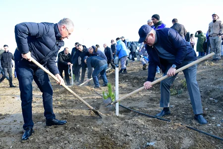 Tree-planting campaign held on 30th anniversary of New Azerbaijan Party