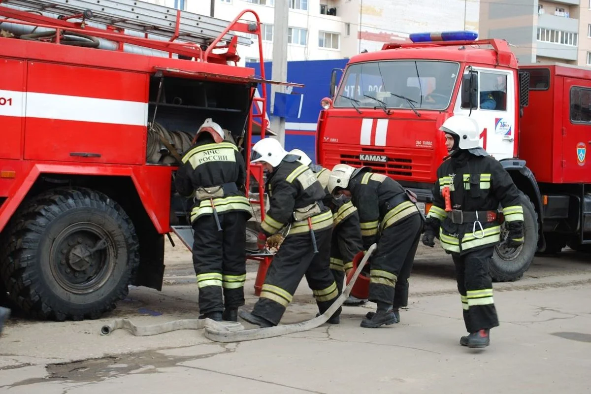 В Новой Москве загорелись 12 автобусов