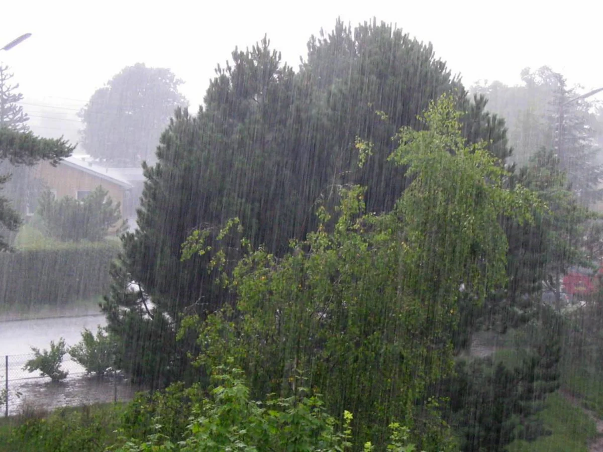 Lightning and shower predicted in Azerbaijan on September 2