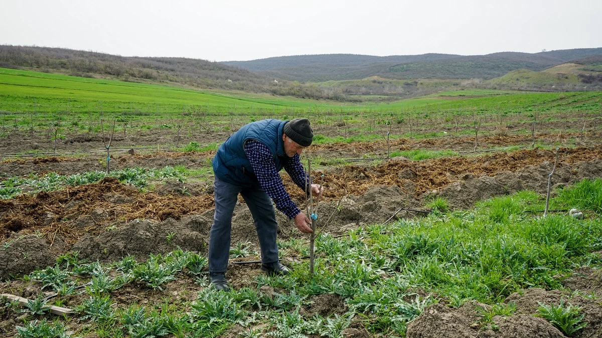“Sosial Bağlar-2021” layihəsinə müraciətlərin qəbulu başlayıb