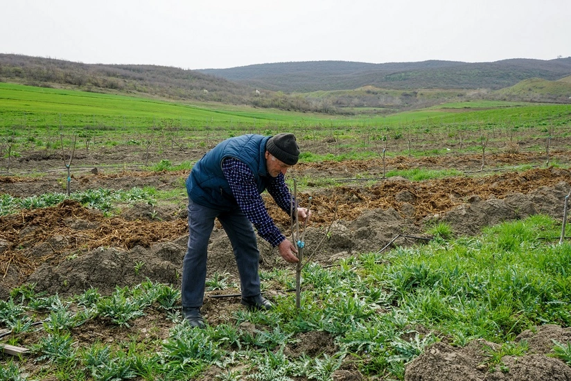 “Sosial Bağlar-2021” layihəsinə müraciətlərin qəbulu başlayıb
