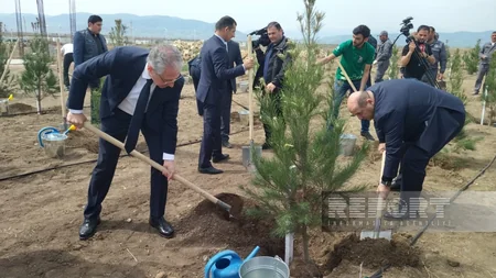 Heydər Əliyevin 100 illik yubileyi ilə əlaqədar Ağdamda ağacəkmə aksiyası keçirilib