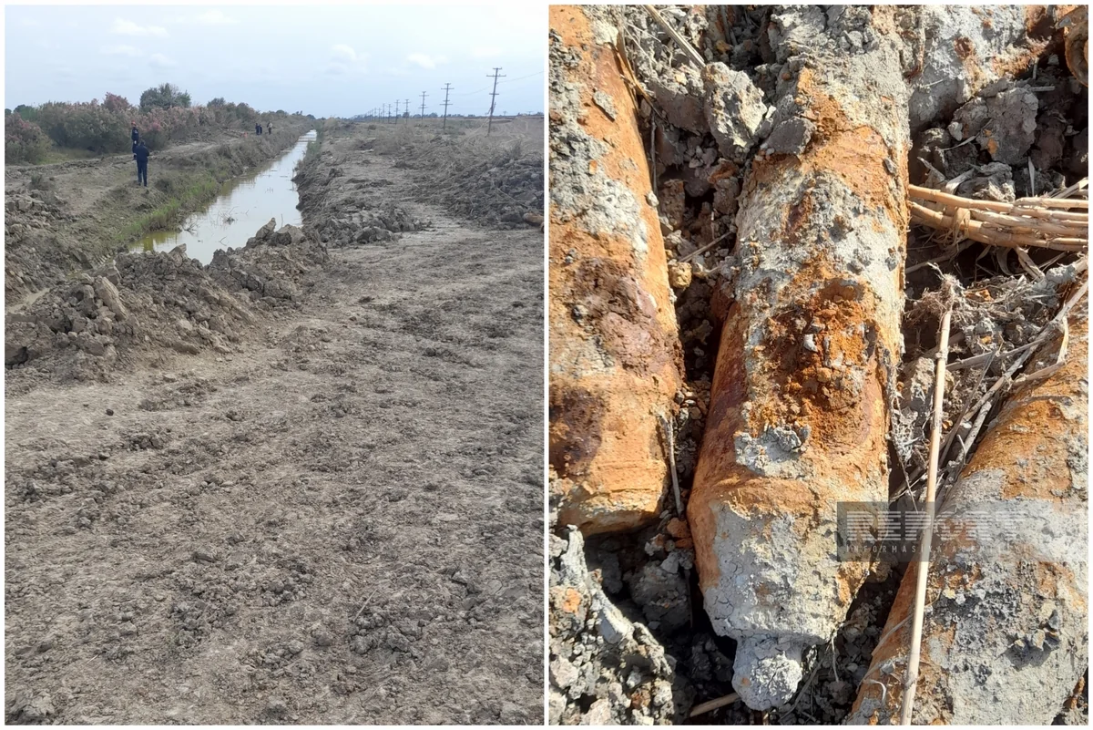 Salyanda partlamamış mərmilər tapılıb