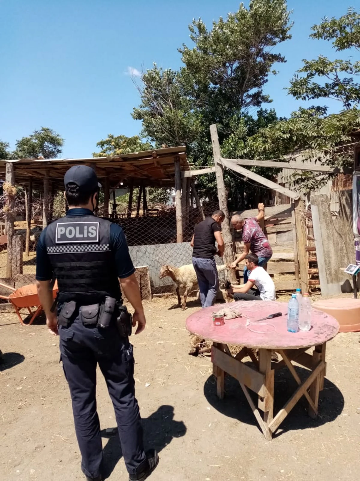 Polis qurbanlıq heyvanların satış yerlərində reyd keçirdi