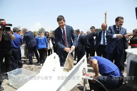 Diplomats, international experts release trouts into Hakari River