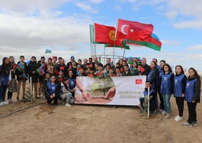 11,111 trees to be planted in Azerbaijan related to National Tree Planting Day