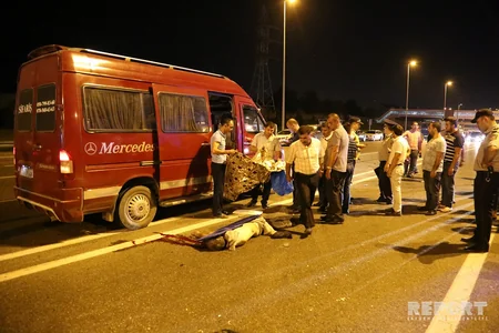 Bakıda mikroavtobus piyadanı vurub, digər maşın isə üzərindən keçib - FOTO - VİDEO - YENİLƏNİB