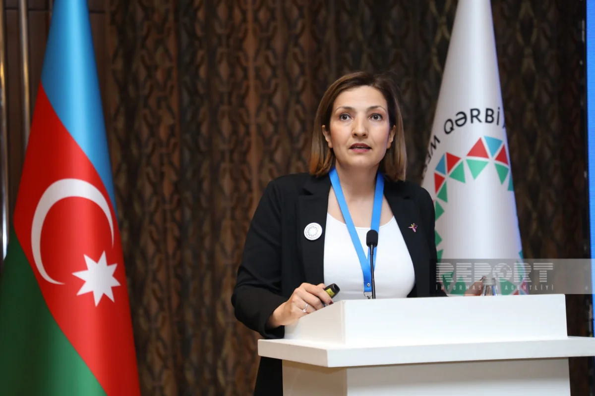 Türkiyəli professor İrəvanın tarixi türk torpağı olduğunu faktlarla əsaslandırıb