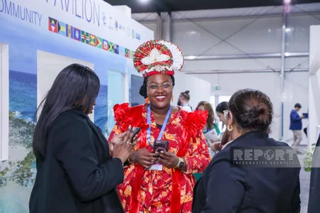 На COP29 представлены павильоны разных стран