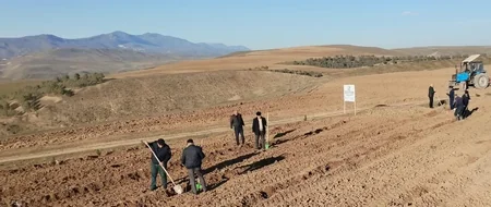 Xidmət rəsmisi: Meşəbərpa tədbirləri bayram günlərində də davam etdirilir