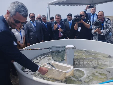 Neftçalada Biomüxtəliflik Günü və Heydər Əliyevin 100 illik yubileyinə həsr edilmiş tədbir keçirilib
