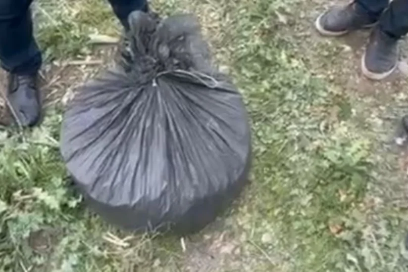 В Шамахы у бывшего заключенного изъяли 8 кг марихуаны