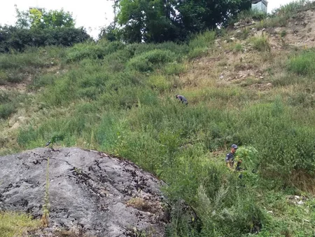 Qusarda bir tona yaxin narkotik tərkibli bitki məhv edilib