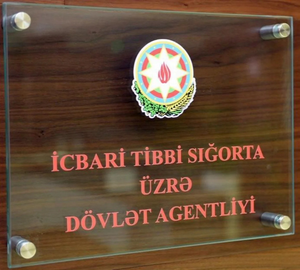 Dövlət Agentliyinin direktoru: “Həkim xəstəyə ehtiyacı olmayan xidməti göstərsə maaşı verilməyəcək, yaxud cərimə olunacaq”