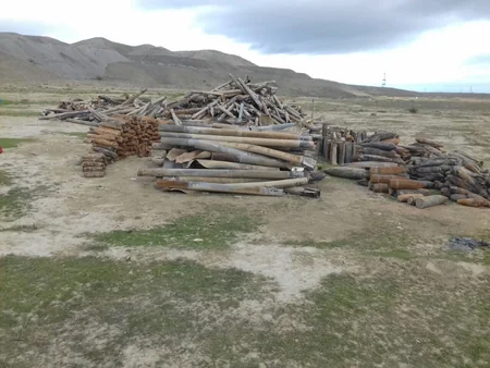 Xızıda 224 ədəd partlamamış hərbi sursat aşkar edilib - FOTO