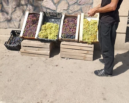 Cəlilabadda ətrafı məişət tullantıları ilə zibilləyən şəxslər müəyyən edilib
