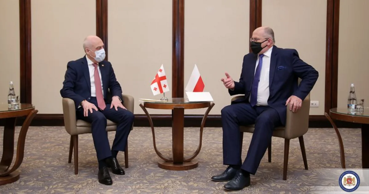 Georgia, Polish FMs mull stability in South Caucasus 