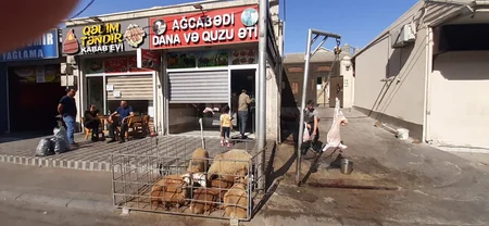 İki rayonda qanunsuz heyvan kəsimi məntəqələri aşkarlanıb