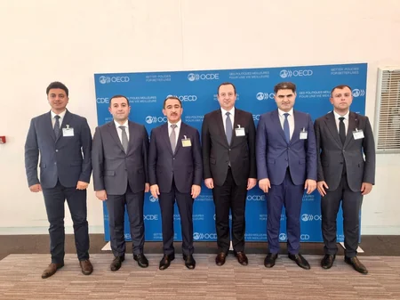 Azərbaycanda həyata keçirilən korrupsiyaya qarşı mübarizə tədbirləri xarici ekspertlər tərəfindən yüksək qiymətləndirilib