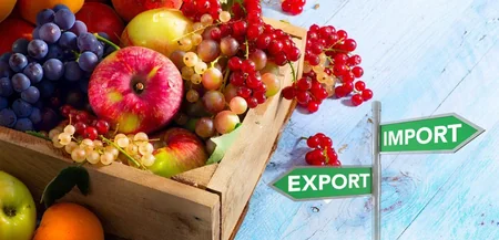 Shahin Mustafayev: We’ll promote production of goods that Russian market needs most - Interview