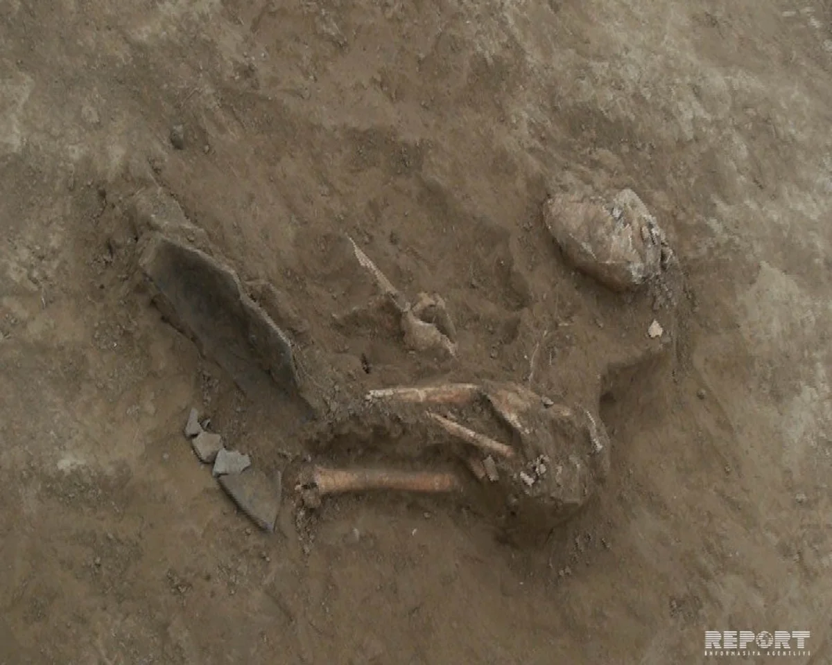 Qazaxda oxla öldürülmüş 5 insanın sümükləri tapılıb - FOTO - VİDEO
