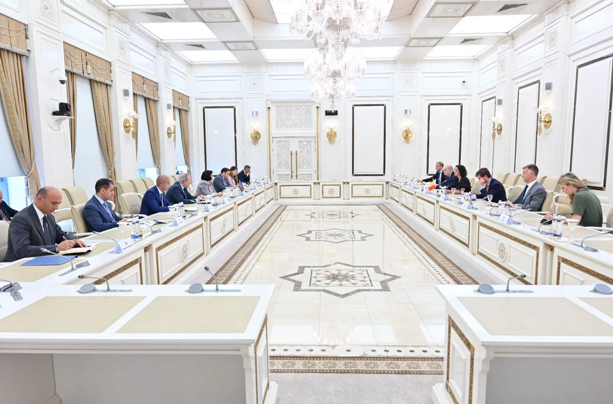 Sahibə Qafarova Belçikanın XİN başçısını qəbul edib