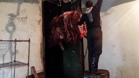 Təzə bazardakı gizli sexdə aşkarlanan yararsız ətlərin laboratoriya müayinələri açıqlanıb