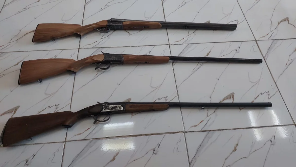 Astarada 3 nəfərdə sənədləri olmayan ov tüfəngləri aşkar edilib