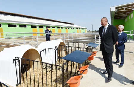 Prezident İlham Əliyev Cəlilabadda “Günəşli-Aqro” MMC-nin aqroparkında yaradılan şəraitlə tanış olub