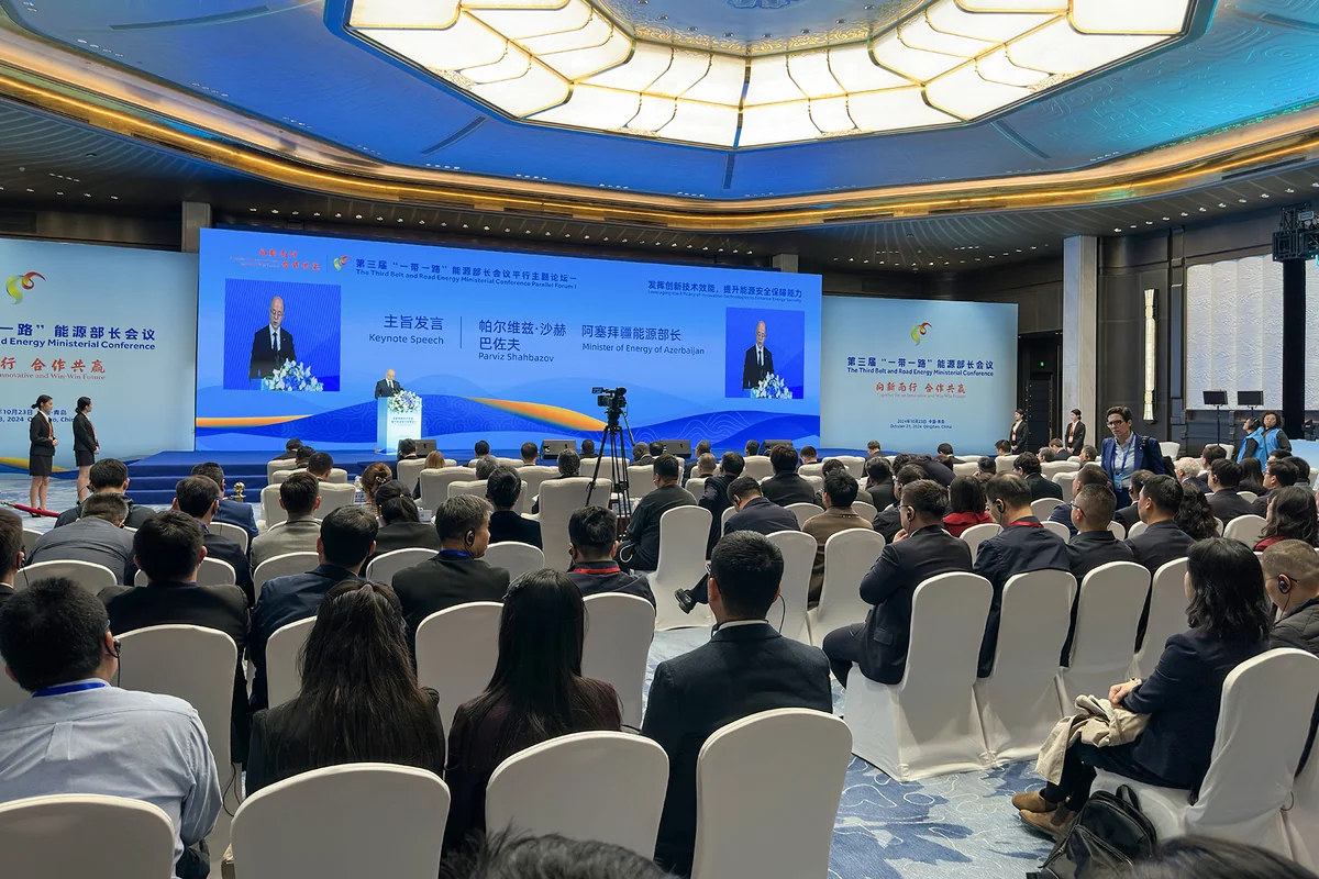 Pərviz Şahbazov: “Enerji bazarında sabitlik üçün diversifikasiya zəruridir”