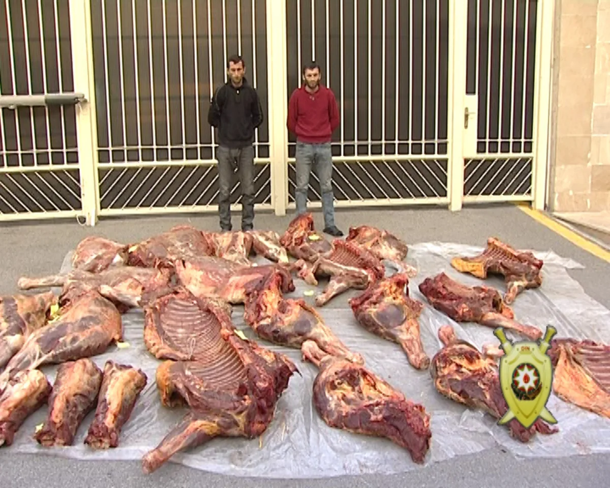 Qusarda xəstə və yaşlı at ətini satmaq istəyən şəxslər saxlanılıblar