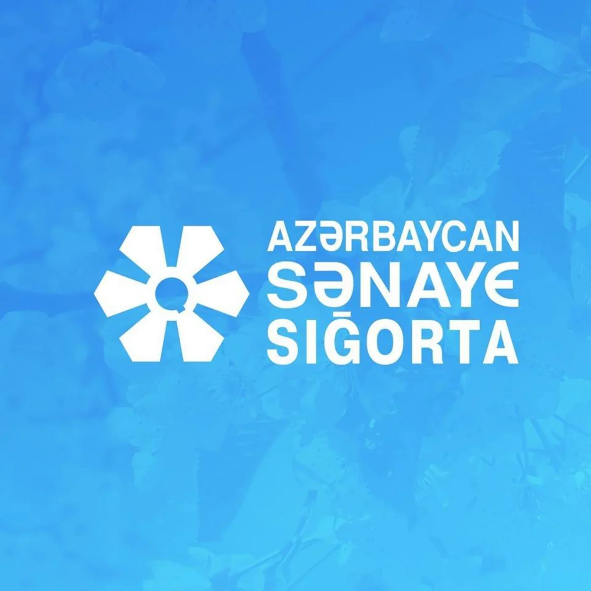 Azərbaycan Sənaye Sığortanın rəhbərliyində dəyişiklik olacaq